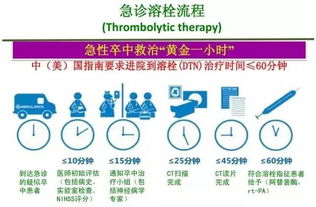 脑卒中健康管理与养生保健服务全解析