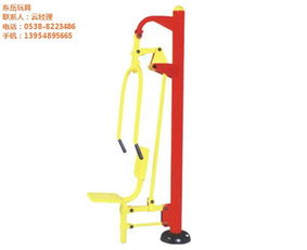 东岳玩具 从玩具到健身器材品牌的创新转型与养生保健服务融合